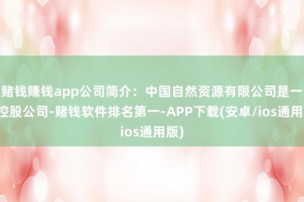 赌钱赚钱app公司简介：中国自然资源有限公司是一家控股公司-赌钱软件排名第一-APP下载(安卓/ios通用版)