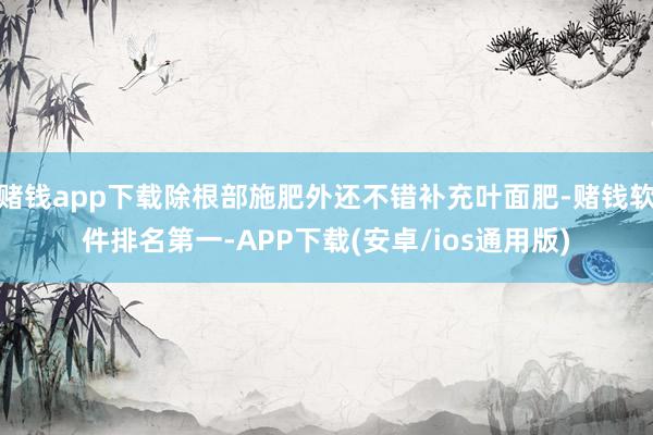 赌钱app下载除根部施肥外还不错补充叶面肥-赌钱软件排名第一-APP下载(安卓/ios通用版)