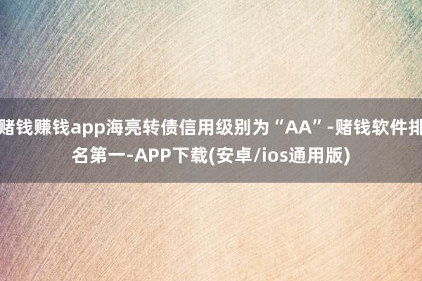 赌钱赚钱app海亮转债信用级别为“AA”-赌钱软件排名第一-APP下载(安卓/ios通用版)